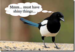 Magpie2_i-love-shiny-things